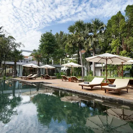 The Forest Luxury - Private Events & Retreats