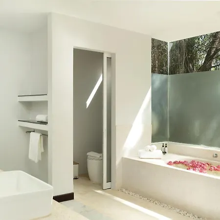 The Forest Luxury - Private Events & Retreats