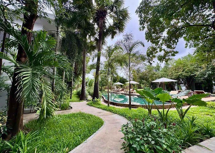 Resort The Forest