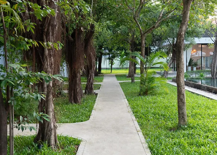 Resort The Forest *