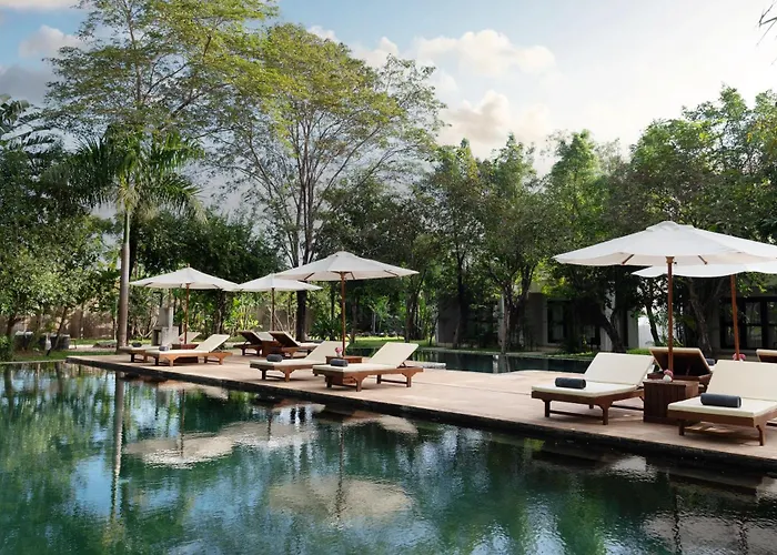 The Forest Resort *